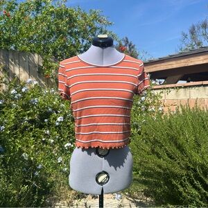 American Eagle Outfitters Medium Curvy Short Sleeve Ribbed Burnt Orange Crop Top